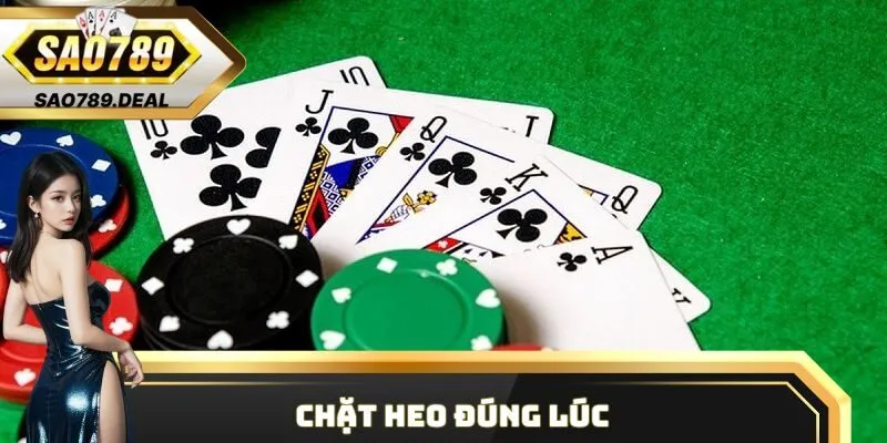 Tiến Lên Miền Nam - Thể loại giải phổ biến từ trước tới nay 3 Chặt heo đúng lúc